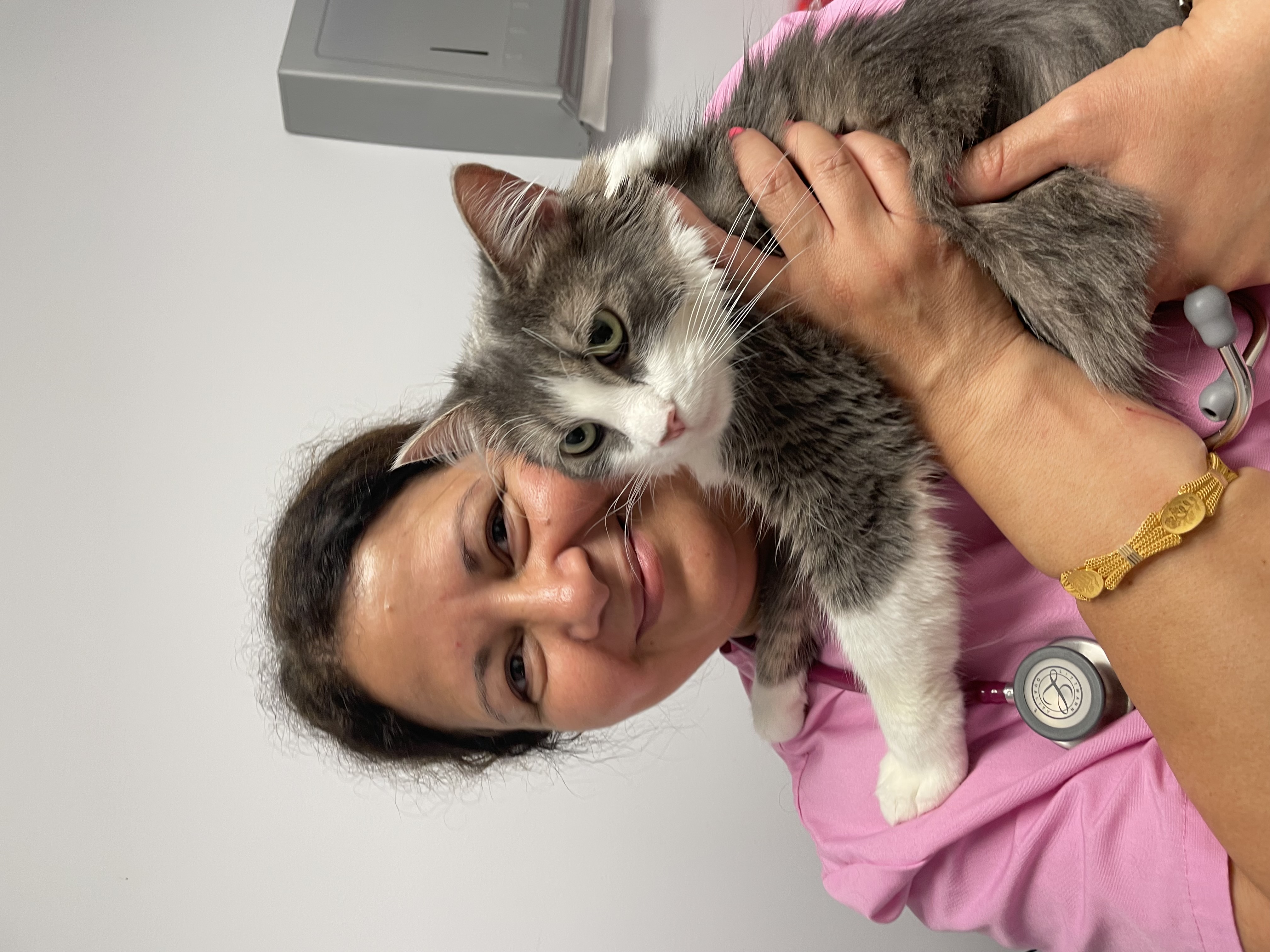 Veterinarian gently holding a gray cat during a wellness exam, showing the personalized care at Ramtown Animal Hospital