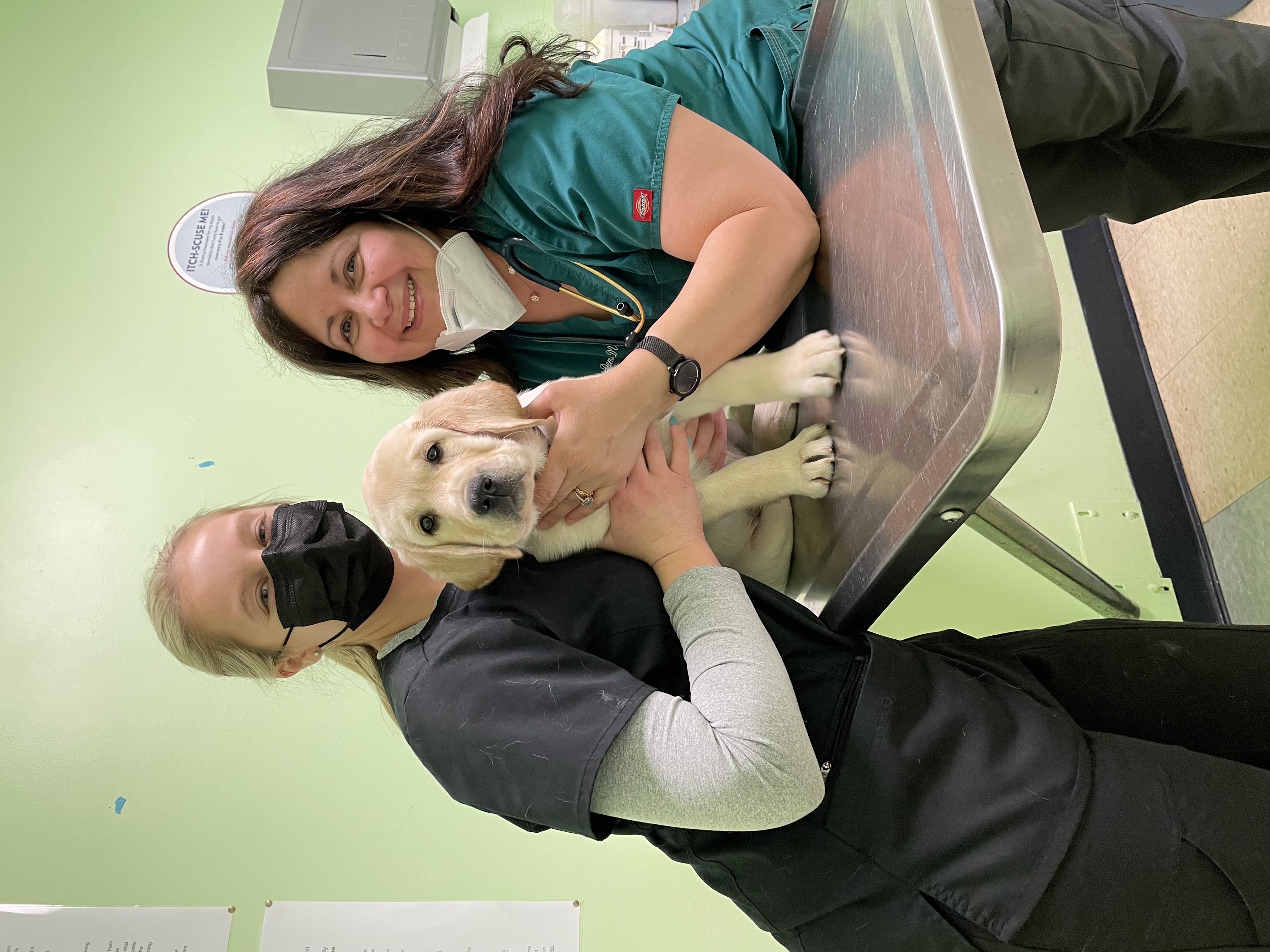 Ramtown Animal Hospital team with a golden retriever puppy patient