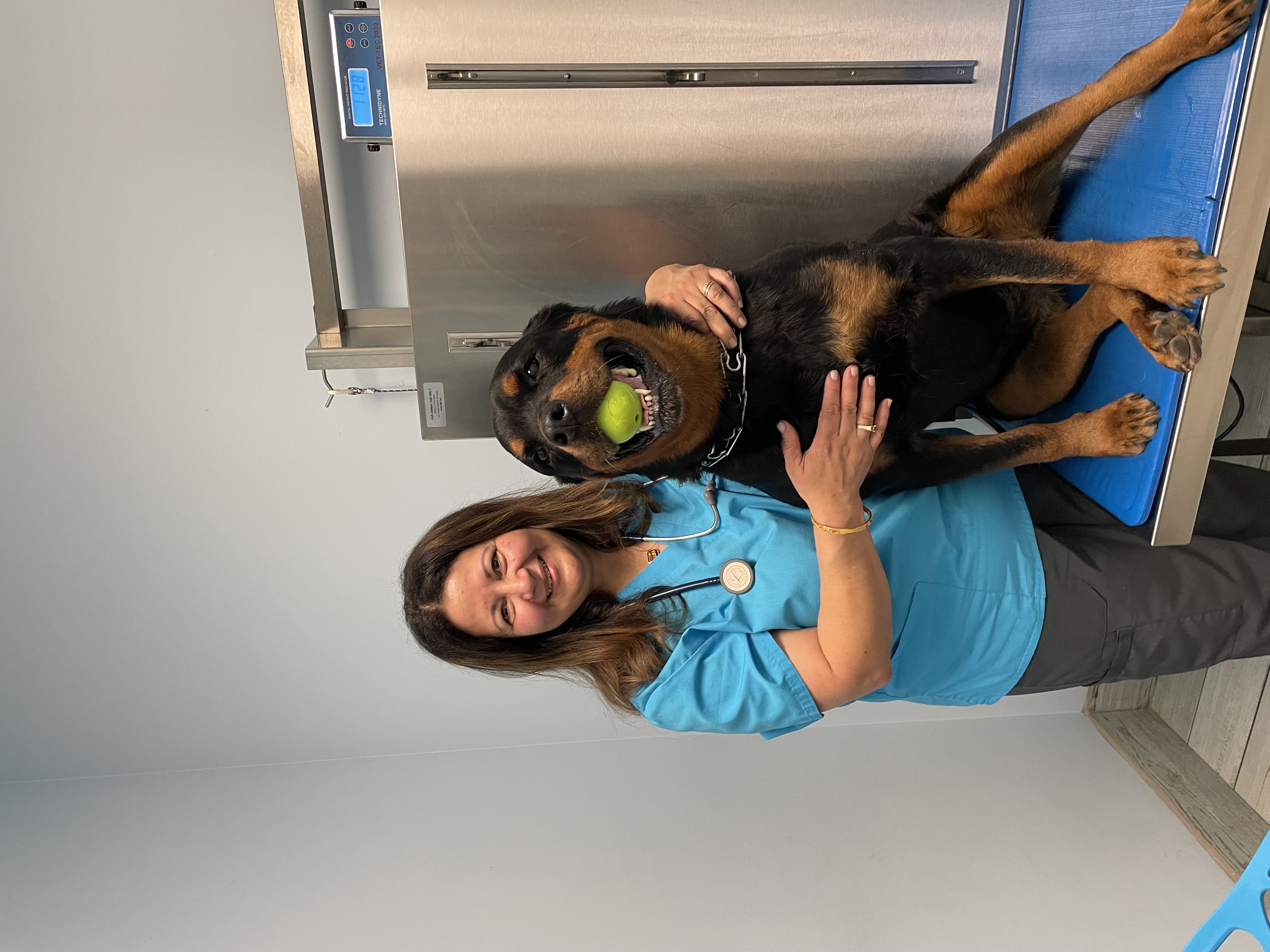 Dr. Demian with a happy Rottweiler patient at Ramtown Animal Hospital in Howell Township NJ